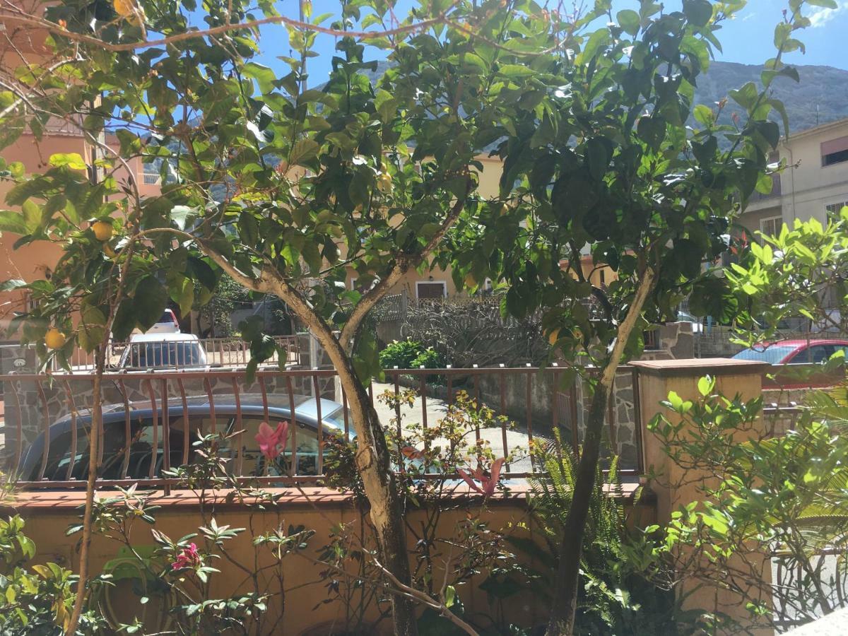 Casa Elena Lägenhet Dorgali Exteriör bild